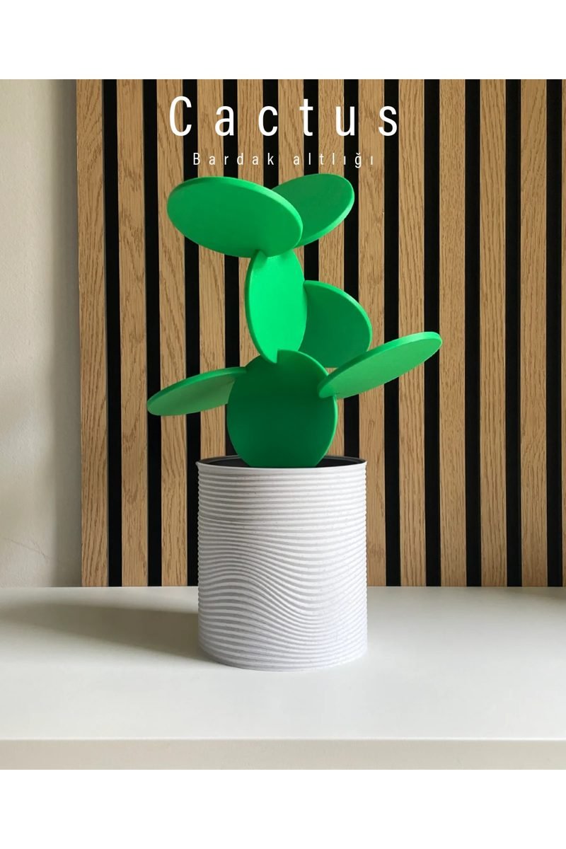 Cactus kaktüs bardak altlığı seti